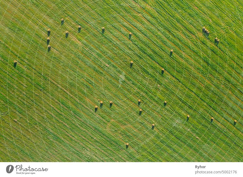 Luftaufnahme von Sommer Feld Landschaft mit mit trockenen Heuballen während der Ernte. Trails Lines auf Ackerland. Top View Landwirtschaftliche Landschaft. Drone Ansicht. Vogelperspektive