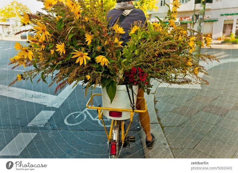 Fahrrad mit Blumenstrauß anlieferung blumen blumenhandel blumenhändler blumenstraus fahrrad fahrradweg gepäckträger logistik stadt straße straßenverkehr