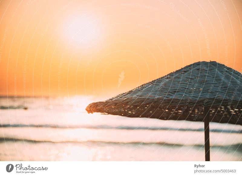 Close Up Regenschirm auf Sandstrand. Sun Sunshine Above Wicker Umbrella At Summer Sunrise Sunset trocknen Strand schön schließen Küste Textfreiraum exotisch