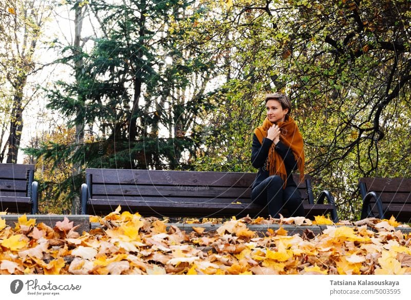 Eine kurzhaarige Frau wickelt sich in einen Schal und sitzt auf einer Bank in einem herbstlichen Park. fallen Herbst Erwachsener blond Kontemplation zuschauend