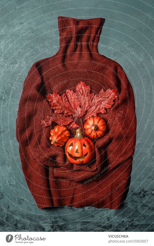 Brauner Pullover mit Herbstblättern, Kürbissen und einem Kürbiskopf. Halloween Konzept braun Blätter Wagenheber Dekoration & Verzierung orange spukhaft Feiertag