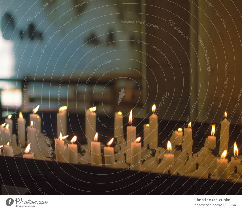 Kerzen für die "stillen Feiertage" im November Kerzenaltar Trauer Hoffnung Glaube Gedenken an gestorbene Menschen danken hoffnungsvoll Hoffnungsschimmer Liebe