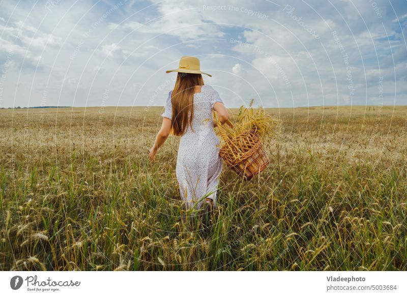 Junge Frau mit Hut und Weidenkorb macht sich auf den Weg durch ein Weizenfeld. Rückenansicht Feld Korb Kleid Ansicht Roggen Behaarung blond blau elegant