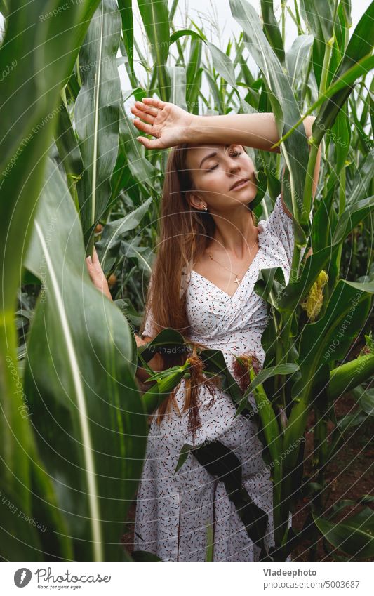 schöne langhaarige Frau mit grünen Blättern in einem Maisfeld an einem sonnigen Tag Feld Natur Schönheit Gesicht Haut rein natürlich Porträt Model tropisch