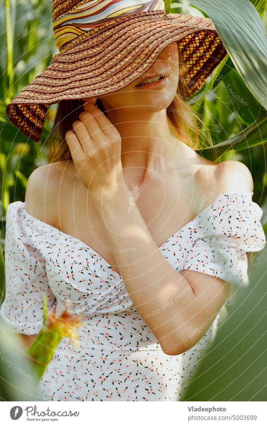 Sinnliches Frauenporträt in Maisblättern. Gesicht mit Hut bedeckt, Sommerkleid mit tiefem Ausschnitt sinnlich jung Porträt grün schön natürlich Kleid stylisch
