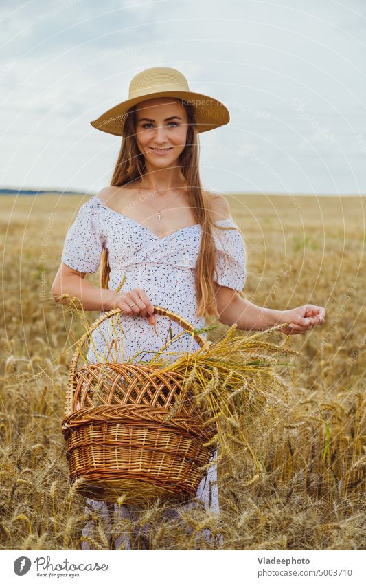 Junge Frau mit Hut auf einem goldenen Feld, die einen Korb mit Roggen hält jung Sonnenuntergang laufen Beteiligung Licht Stroh Wiese schön Weizen Ernte Natur