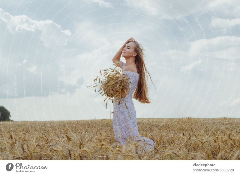 Junge blonde Frau mit langen Haaren steht in einem Weizenfeld mit einem Arm voller reifer Ähren. Mädchen Behaarung Schönheit Natur Feld Auge Ohren Halt jung