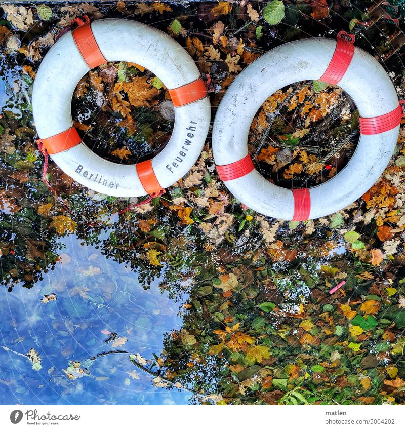Berliner Feuerwehr Rettungsring Wasser bis zum Hals Laub Ufer Herbst wasseroberfläche Außenaufnahme Menschenleer
