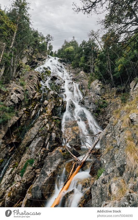 Wasserfall im Wald in felsigen Bergen Berge u. Gebirge fließen Landschaft strömen wild Wälder Felsen Natur Stein Pyrenäen lleida Katalonien Spanien Kraft