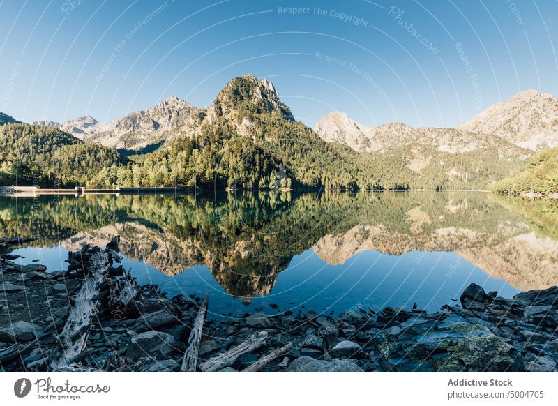 Grüne Berge am ruhigen Seeufer Berge u. Gebirge Blauer Himmel Wasser Reflexion & Spiegelung Windstille Baum Sauberkeit Ambitus Landschaft Pyrenäen lleida