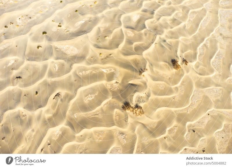 Malerische Sanddünen an einem sonnigen Tag in der Wüste wüst Düne Tal Landschaft Pflanze Wetter heiß Klima wild Park Natur malerisch Wälder Saison
