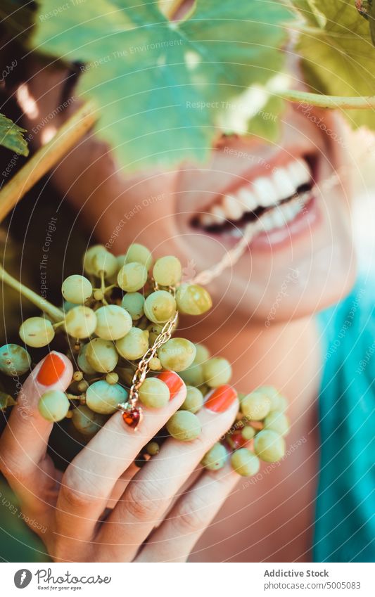 Frau mit Weintraube im Garten Traube Haufen Frucht berühren Sommer frisch heiter Weinberg grün Natur Lächeln Wachstum üppig (Wuchs) organisch Saison ländlich