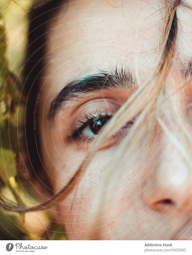 Frau mit braunen Augen schaut in die Kamera braunes Auge Vorschein Porträt Natur Blatt natürlich Farbe Detailaufnahme Schönheit Teint Behaarung sanft