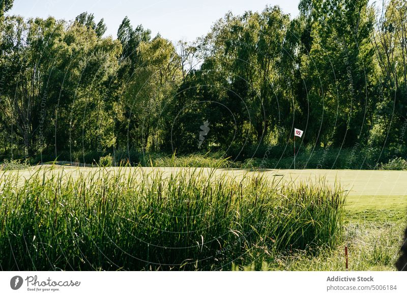 Golfplatz zwischen üppigen grünen Bäumen und Gras Kurs Natur Landschaft Umwelt Ökologie vegetieren pflanzlich Einsamkeit Szene kleben Nummer üppig (Wuchs) Sport