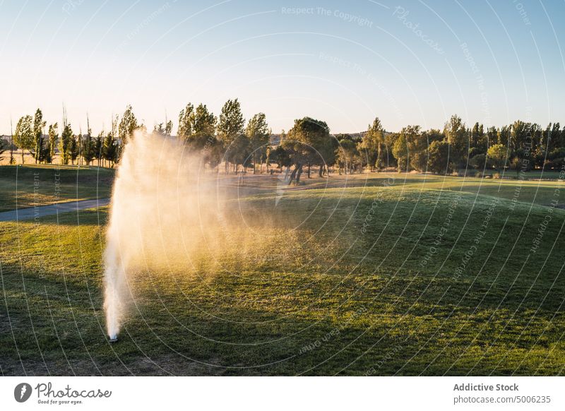 Sprühendes Bewässerungssystem auf grünem Golfplatz System Kurs Spray Wasser platschen Sport Grün Landschaft Baum Umwelt Energie dynamisch bewässern Spritzer