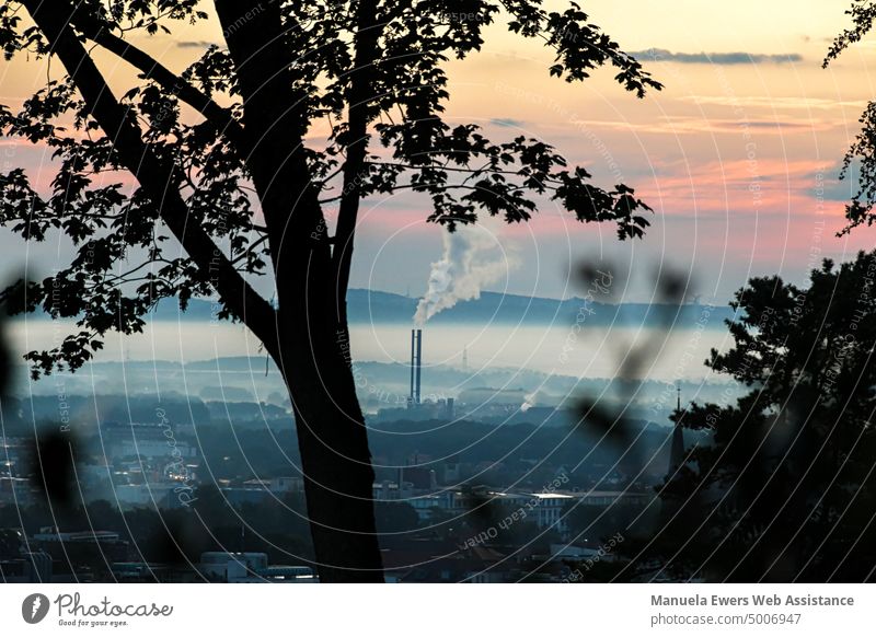 Dunkler Baum im Vordergrund steht in starkem Kontrast zum rauchenden Industrieschornstein im nebelverhangenen Hintergrund industrie umwelt verfärbter himmel