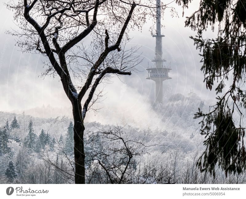 Hinter kahlen Bäumen ragt der Bielefelder Fernsehturm dramatisch aus dem Nebel einer Winterlandschaft heraus fernsehturm hünenburg bielefeld kahler baum schnee