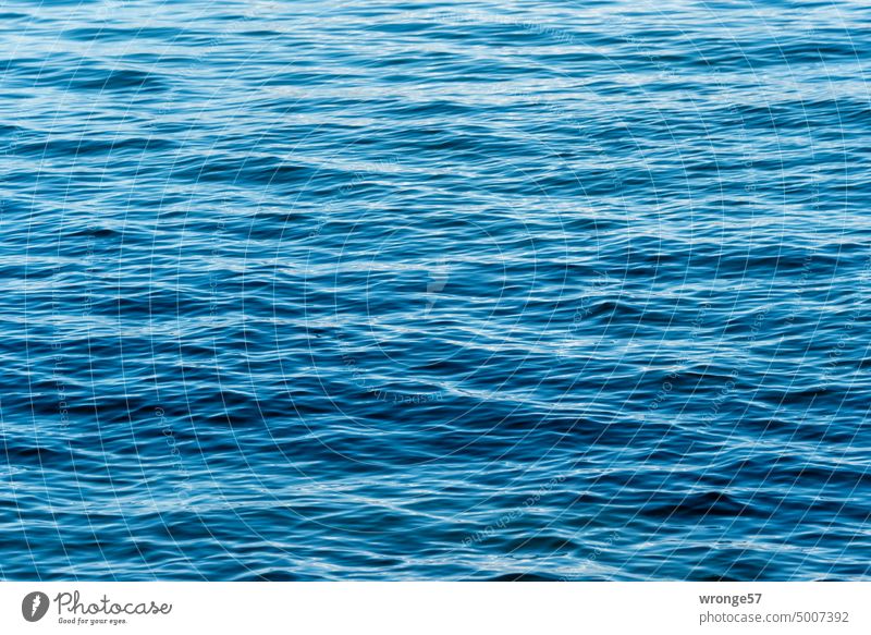 Leichter Wellengang auf der Ostsee leichter Wellengang Meer blau Wasser Wellenschlag Wasseroberfläche Außenaufnahme Farbfoto Wellenform Wasserfarbe Meerwasser