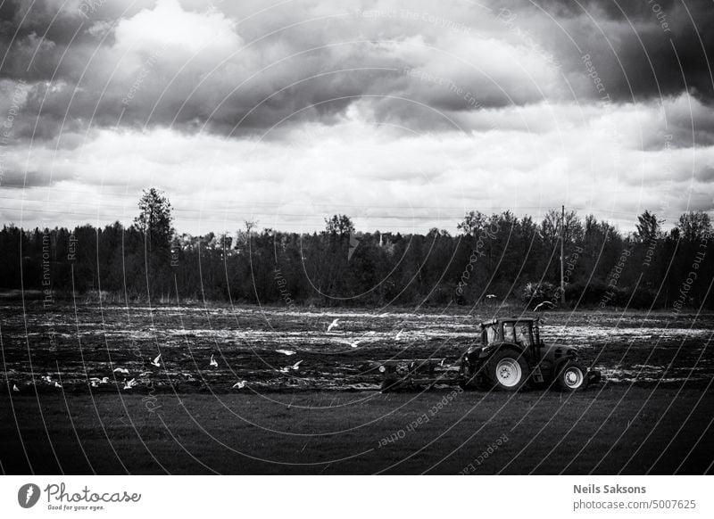 gefolgt von Vögeln Traktor pflügen mono schwarz auf weiß Ackerbau Feld Möwe Wurm Lebensmittel landwirtschaftlich Maschine Gerät Garten Bauernhof Landwirtschaft