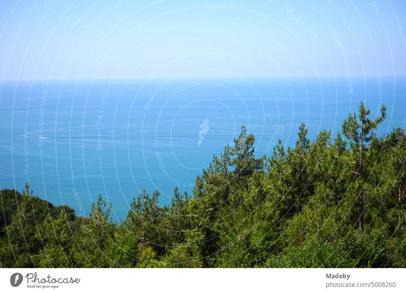 Blick von der Terrasse eines Landhaus auf das Schwarze Meer in Sommer bei blauem Himmel im Sonnenschein in Inkumu an der Schwarzmeerküste in der Provinz Bartin in der Türkei