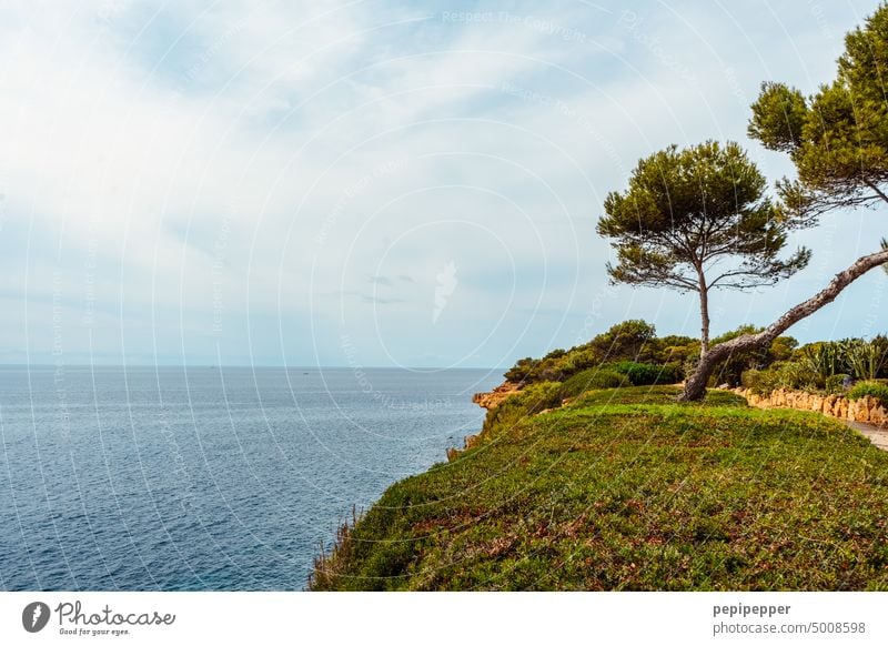 Klippe auf Mallorca Meer Wasser Küste Felsen Landschaft Ferien & Urlaub & Reisen Menschenleer Spanien Außenaufnahme Natur Aussicht Tourismus Himmel Ausflug