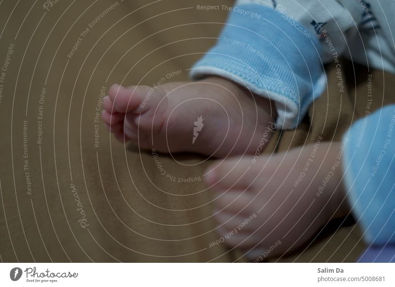 Babyfüße Nahaufnahme Säuglingsalter schließen abschließen Nähe klein Fuß Innenaufnahme Kind 0-12 Monate Detailaufnahme Kindheit Haut niedlich Mensch