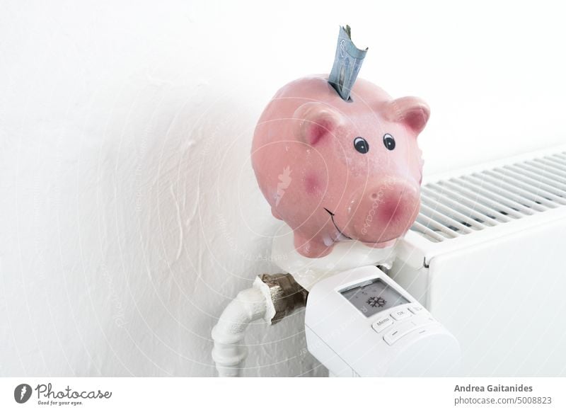 Frierendes eingefrorenes Sparschwein auf ausgeschalteter Heizung, weißer Hintergrund, horizontal Heizkörper Heizkosten sparen gespeichert frieren Geld Kosten