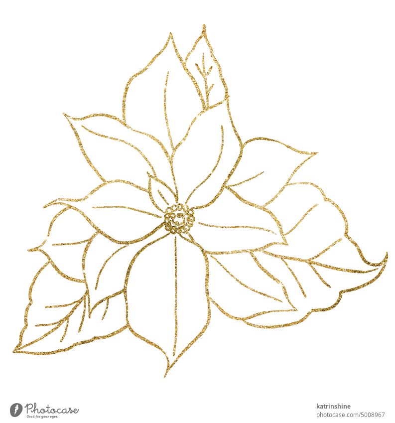 Weihnachten goldenen Umriss Poinsettia Blume, Winterurlaub Partei Design-Element Dekoration & Verzierung Zeichnung handgezeichnet Feiertag vereinzelt Natur