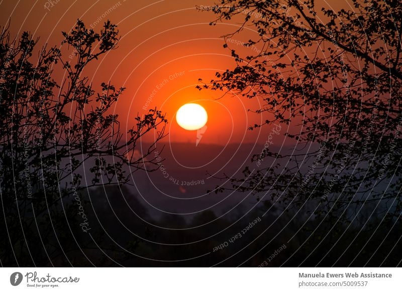Stimmungsvoller Sonnenaufgang mit tollem Farbverlauf. Im Vordergrund sind Äste von Bäumen im Fokus. sonnenaufgang rot orange lila landschaft farbverlauf