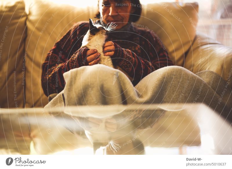Frau mit Wolldecke und Katze auf dem Sofa Haustier streicheln Winter kälte wärmen zu Hause Kraulen Streicheln Tierliebe Schnurren Spiegelung