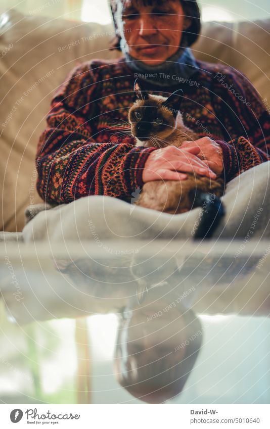 frierende Frau mit Wolldecke und Katze auf dem Sofa ihrer Wohnung frau katze heizkosten kalt winter zu Hause Decke Haustier Wärme Tierliebe wärmen Senior