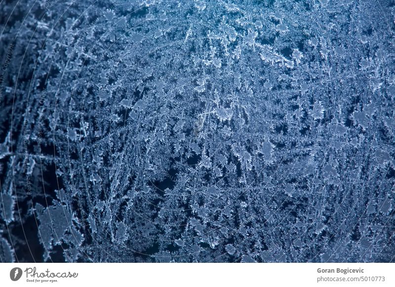 Gefrorenes Glas Eis Frost gefroren kalt Fenster Winter Muster Saison blau Kristalle Natur natürlich cool Oberfläche Eiszapfen saisonbedingt Form schließen