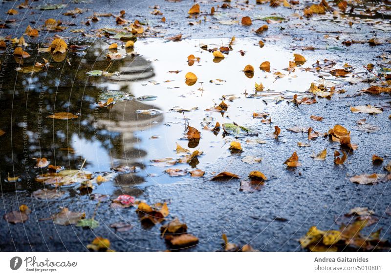 Pfütze mit Herbstlaub, in der sich der Heinrich-Hertz-Turm von Hamburg spiegelt, horizontal Regen Herbstwetter herbstlich regnerisches Wetter Laubwerk Blätter