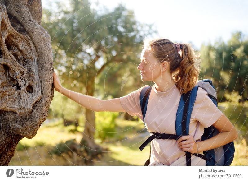 Junge Frau beim Wandern im Wald in den europäischen Bergen. Konzepte von Abenteuer, extremes Überleben, Orientierungslauf. Einzelne Reise. berühren oliv Baum