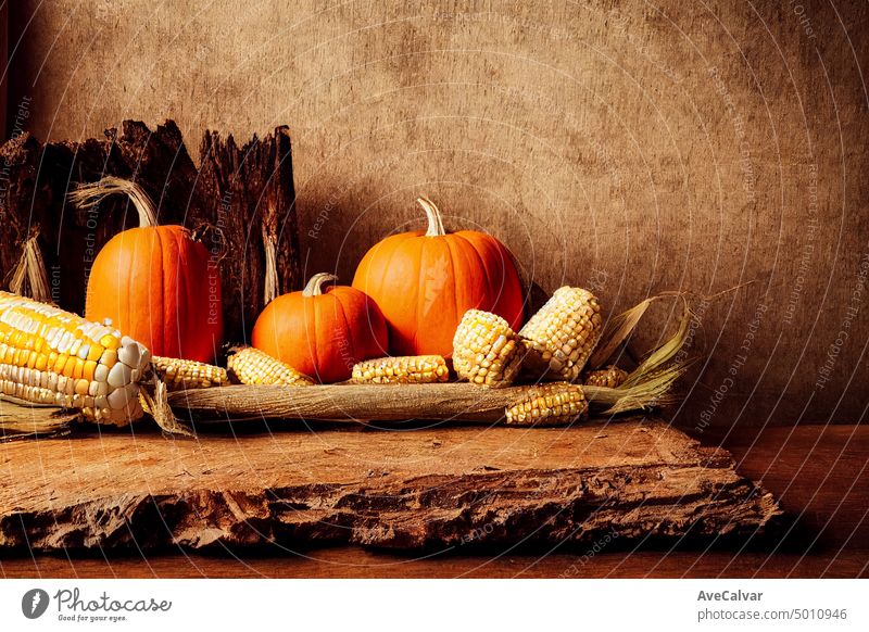 Minimale Kulisse aus rustikalem Holzbrett, Mais und Kiefer und Kürbis auf dem unteren Teil Erntedankfest Gemüse Halloween saisonbedingt altehrwürdig Gruß