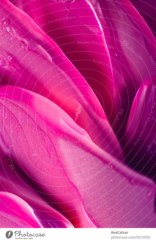 Detaillierte und elegante glänzende rosa Seife Textur, nassen Hintergrund. Dusche und Hautpflege-Konzept. Pastell Hintergründe Textfreiraum Steigung Makro hart