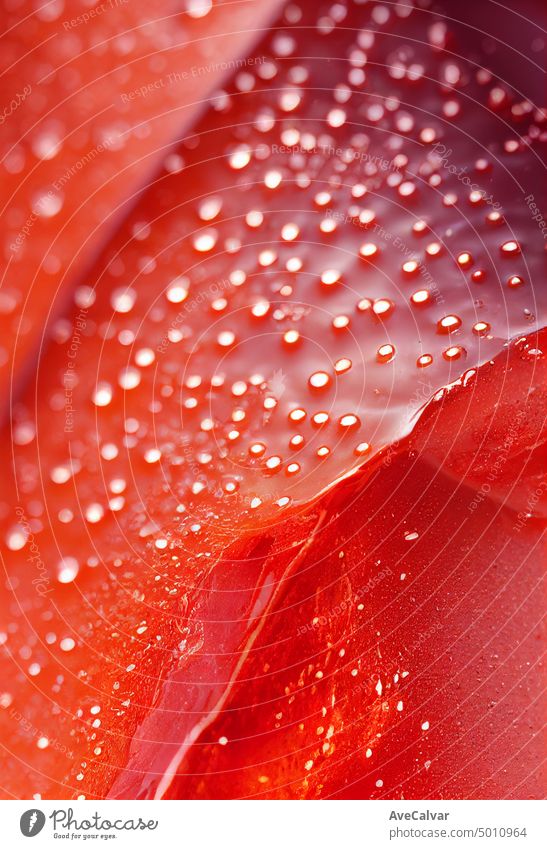 Detaillierte und elegante glänzende orange Seife Textur, nassen Hintergrund. Dusche und Hautpflege-Konzept. Hintergründe Textfreiraum Steigung Makro hart blau