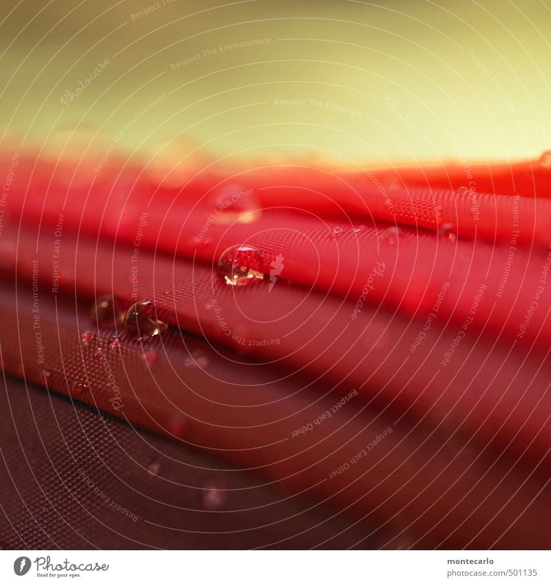 Umbrella Regenschirm Kunststoff Tropfen dünn authentisch klein nass rot Farbfoto mehrfarbig Innenaufnahme Nahaufnahme Detailaufnahme Makroaufnahme Menschenleer