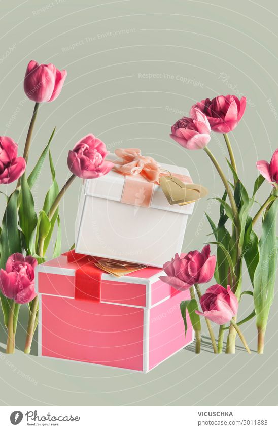 Geschenk-Boxen mit rosa Tulpe Blumen. Frühlingsgruß und Urlaubskonzept. Valentinstag, Frauentag und Muttertag Geschenkverpackungen Gruß Feiertag Konzept