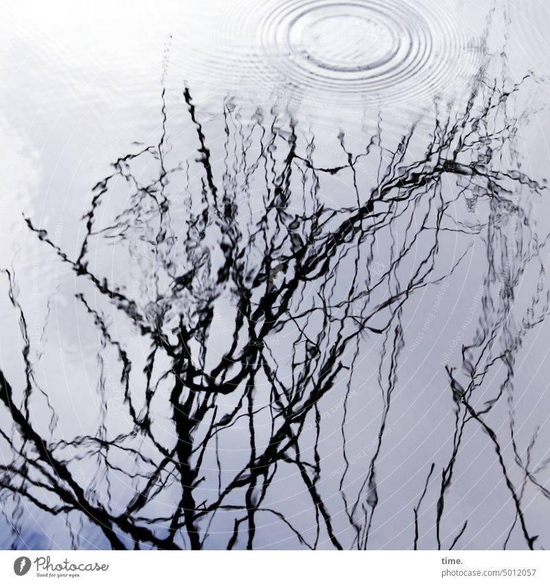 NordARTer | Lebenslinien .158 Wasser Wellen Regentropfen Oberfläche Reflexion & Spiegelung Teich Muster Tropfen regnerisch Natur glänzend Wassertropfen nass