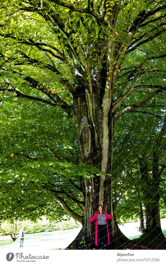 -größer-älter-grüner- | NordARTer Baum groß verhältnis Frau Natur Außenaufnahme großer Baum Baumstamm Farbfoto Tag Sommer Wachstum Sonnenlicht Perspektive