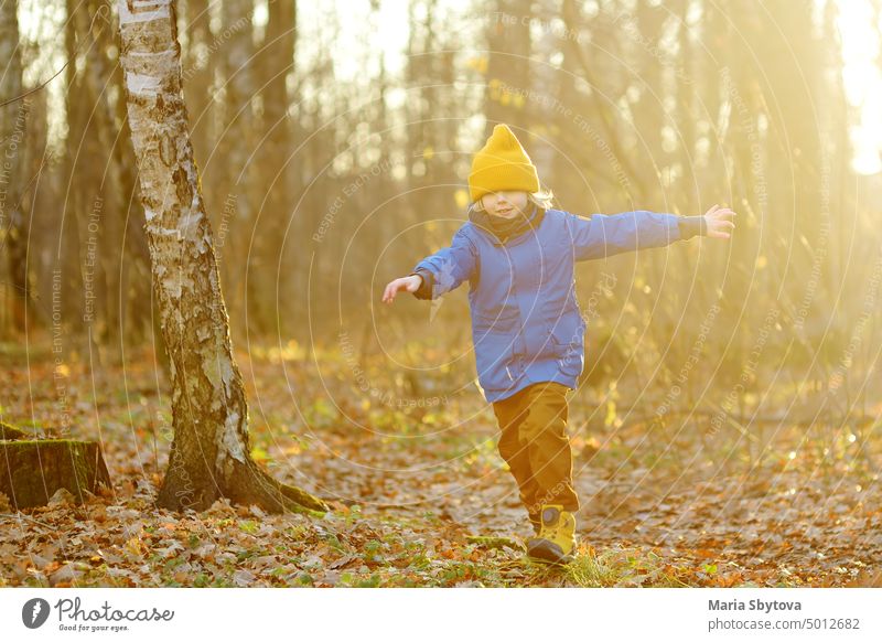 Fröhliches Kind beim Spaziergang im Wald an einem sonnigen Herbsttag. Vorschüler Junge hat Spaß beim Spaziergang durch den Herbst Wald. Familie Zeit auf die Natur.