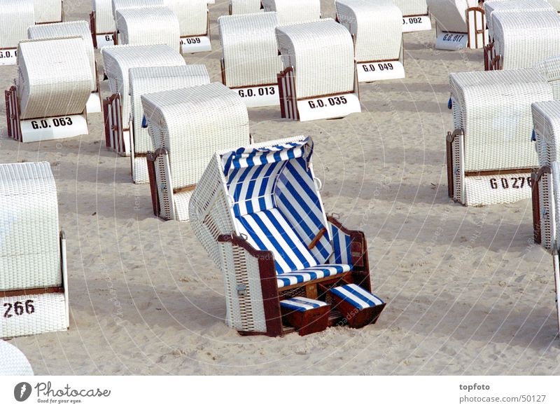 Individualist Strandkorb Rügen Sommer einer unter vielen Wohlgefühl Erholung Sand Sonne