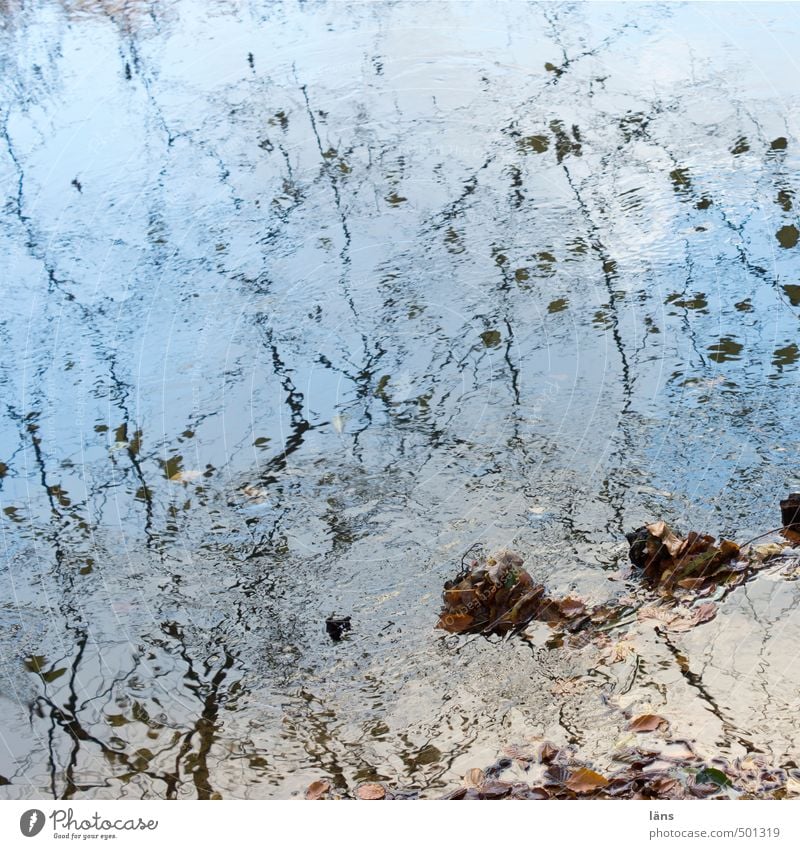 herbstlich Natur Wasser Himmel Herbst Blatt Teich See Bach Fluss blau Umwelt Vergänglichkeit Wandel & Veränderung Ast ästhetisch Farbfoto Außenaufnahme Muster