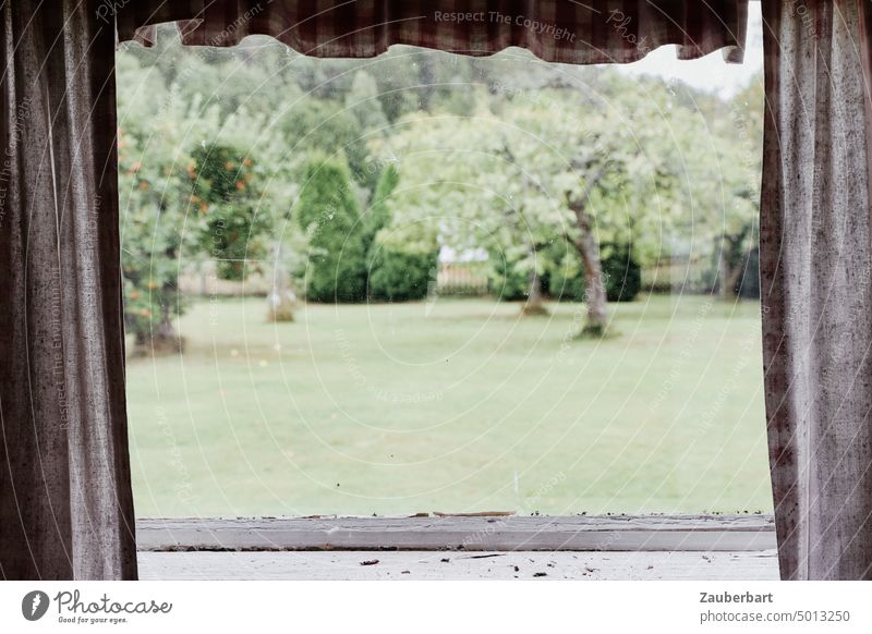 Beschaulicher Gartenblick zwischen zwei alten, karierten Gardinen, davor Fensterbank Blick Beobachtung beobachten verstecken schmutzig Vorhang Stoff Falten