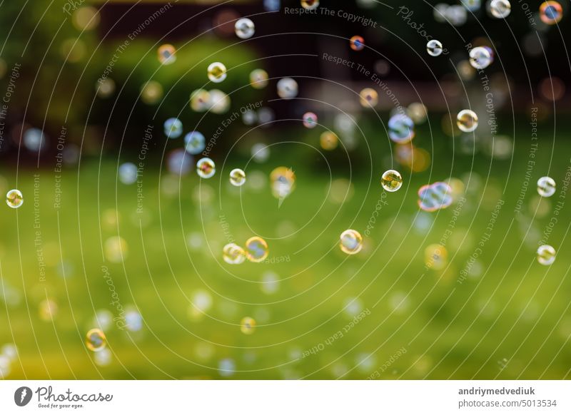 helle Seifenblasen auf Sommer natürlichen grünen abstrakten Hintergrund. viele fliegende Seifenblase in sonnigen Tag. Frühling oder Sommer Saison. Symbol der Kindheit, Reinheit, Ökologie.