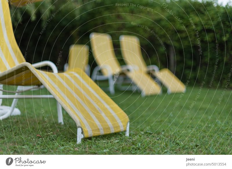 Sonnenliegen bereit für die Handtücher Liege frei unbesetzt leer Menschenleer Möbel Platz Liegestuhl Sommer Wiese Liegewiese Erholung Urlaub gelb gestreift See