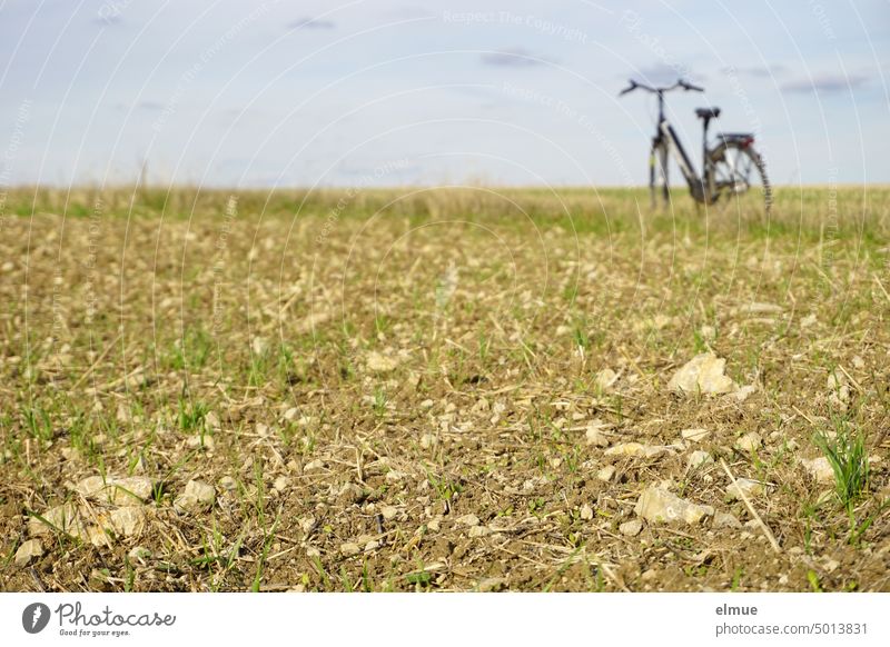 steinreicher Herbstacker mit aufgegangener Saat und einem Damenfahrrad auf dem Feldweg im Hintergrund Acker Neusaat Fahrrad Erde Steine Feldsteine Ausflug Tour
