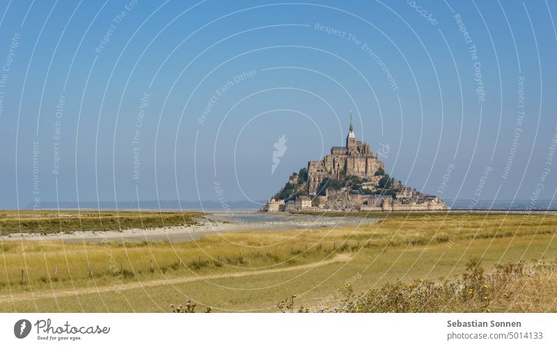 Schöne Ansicht der berühmten historischen Gezeiteninsel Le Mont Saint-Michel mit Wiesenlandschaft im Vordergrund, Normandie, Frankreich MEER Abtei Stadt reisen