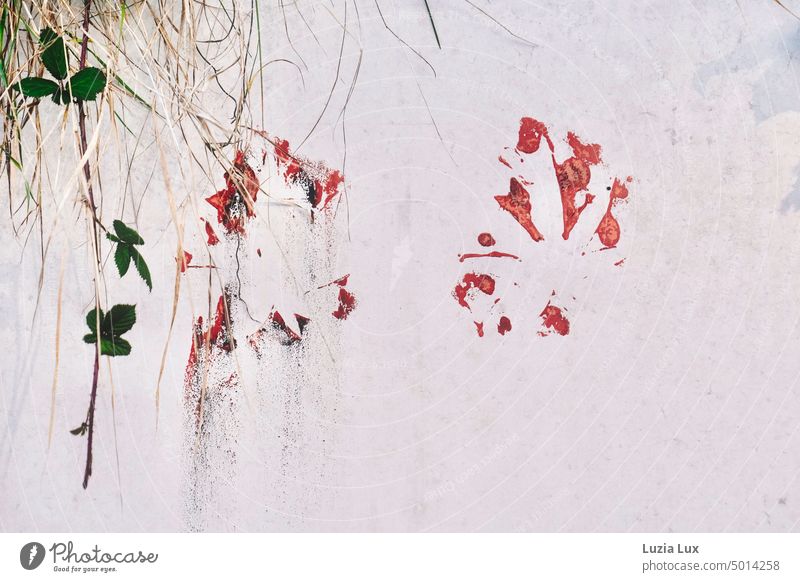 Kunst an einer Mauer, herbstlich Herbst Ranken grün rot Farbklecks Farbfleck Halme welk ranken Wand Fassade bewachsen